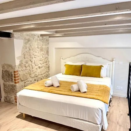 Belle Epoque Duplex - Charm & Modernity Ac & Wi-fi Appartement Nice